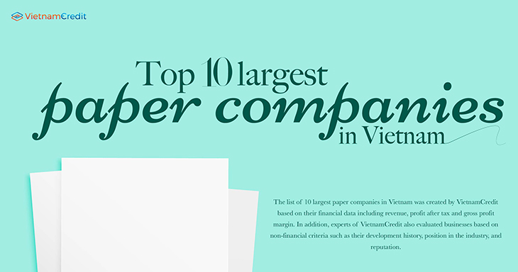 Top 10 largest paper companies in Vietnam